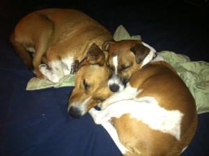 Relaxin' after a busy day!