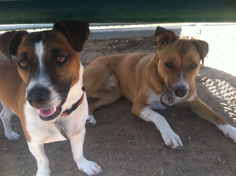 Jack and Bernie aka The Bears