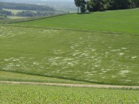 A beautiful day in Bavaria!