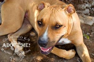 Her sweet and happy face!